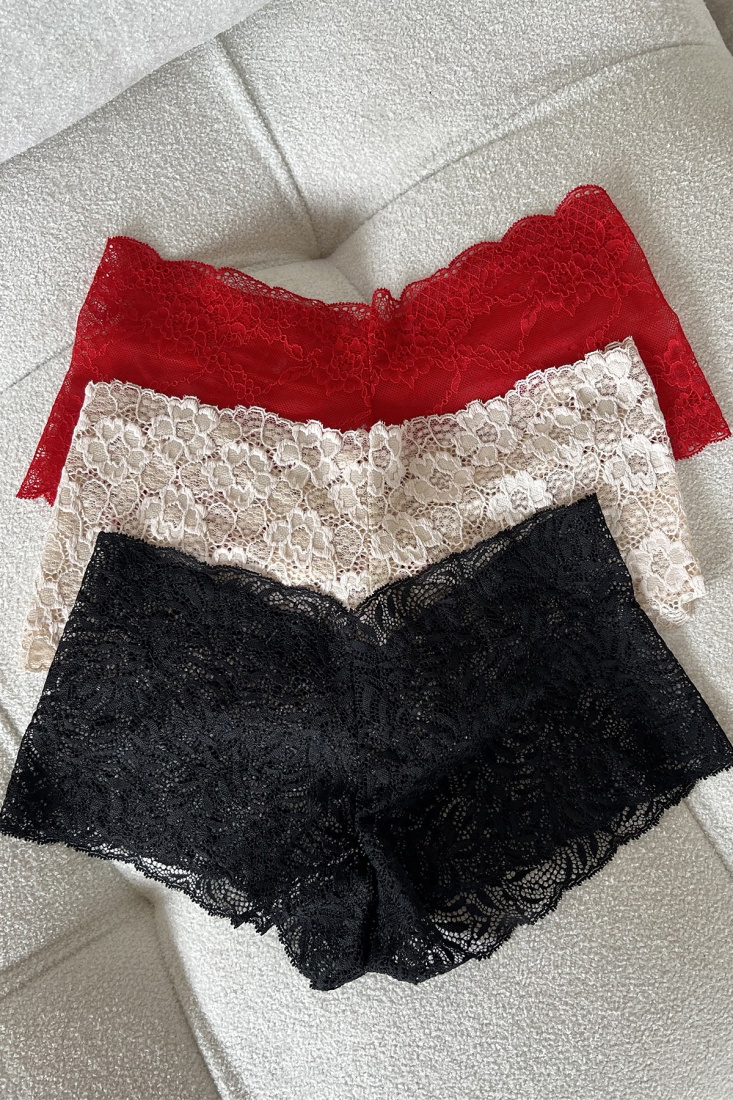 3 Pieces Lace Detail High Waist Briefs ATEL10 - 