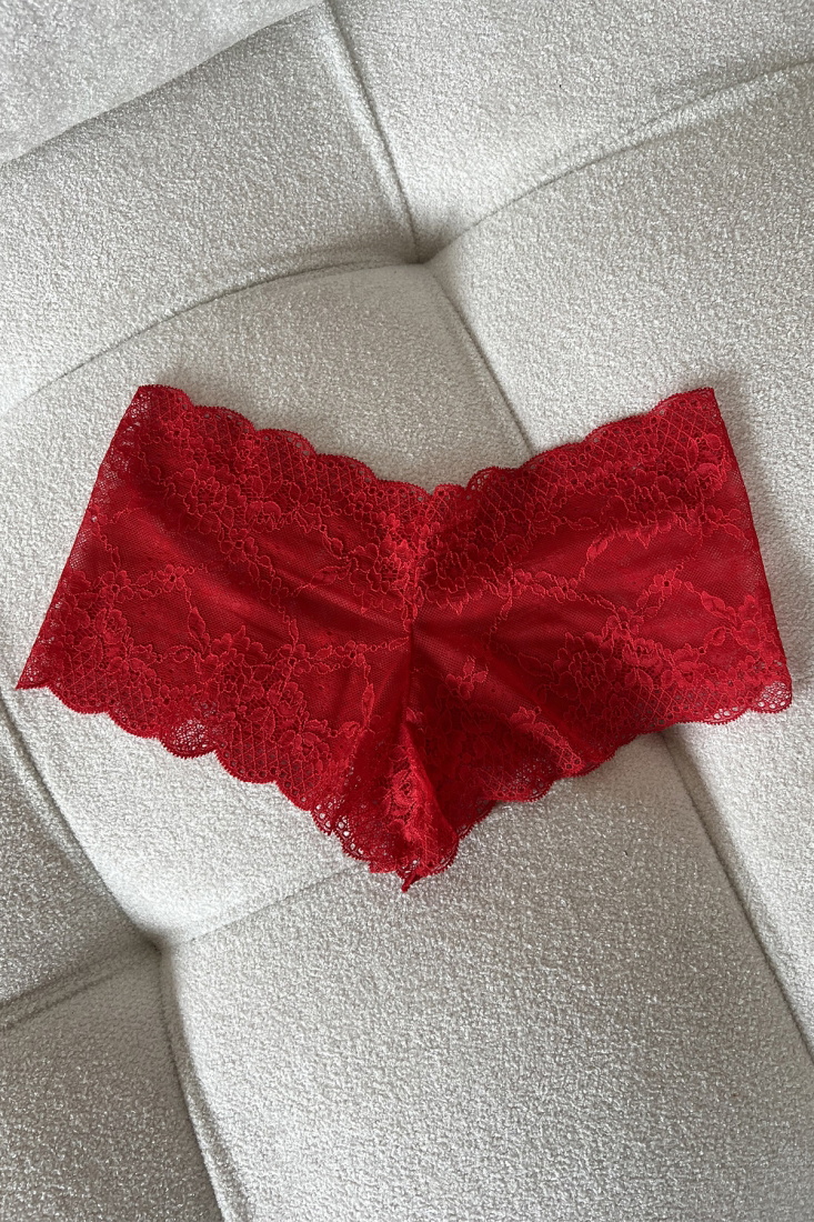 3 Pieces Lace Detail High Waist Briefs ATEL10 - 