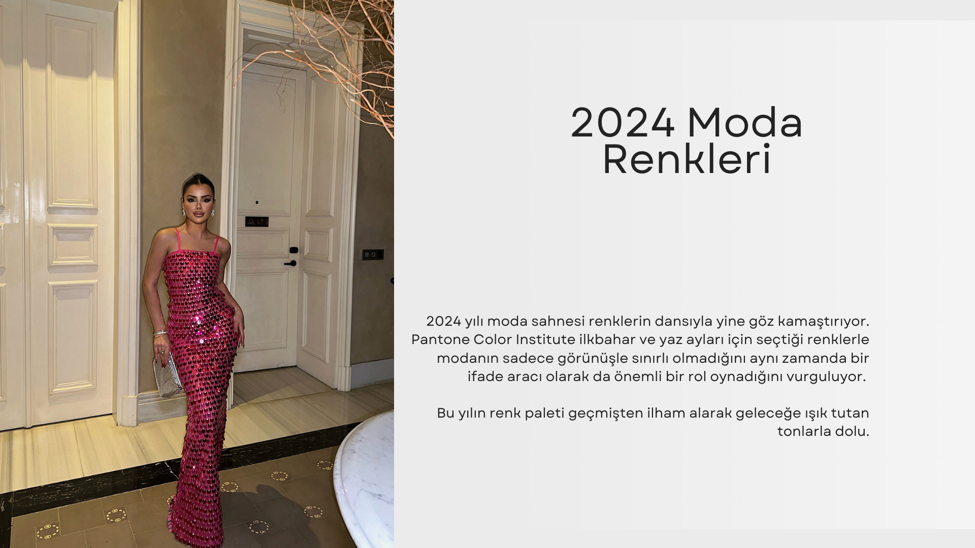 2024 Moda Renkleri