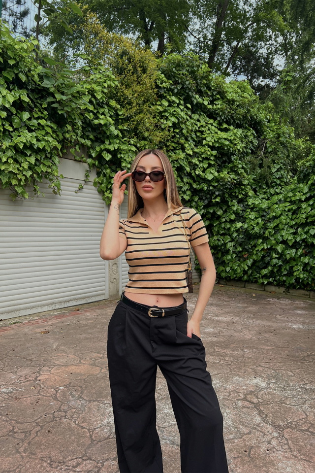 Beige Shirt Collar Crop Top ATE6822 