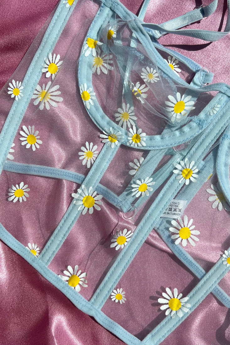 Blue Daisy Pattern Corset ATE5171 - EYYO
