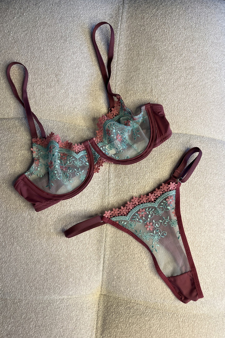 Burgundy Lace Detail Underwear ATE6857 - EYYO