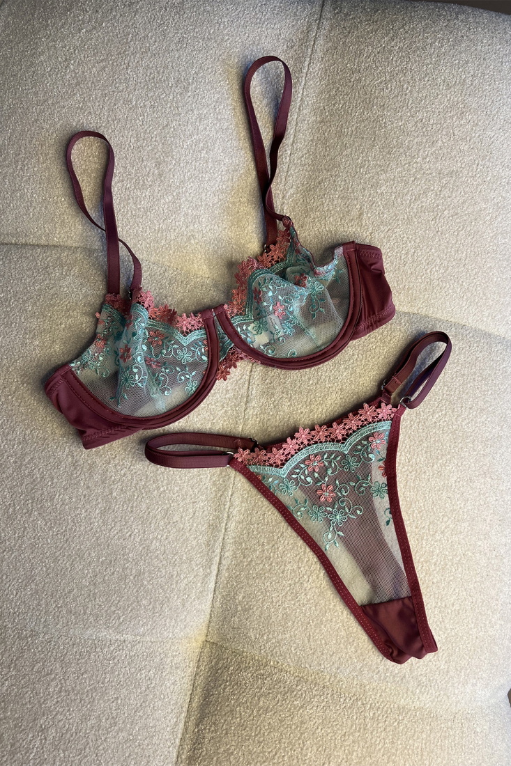 Burgundy Lace Detail Underwear ATE6857 - EYYO