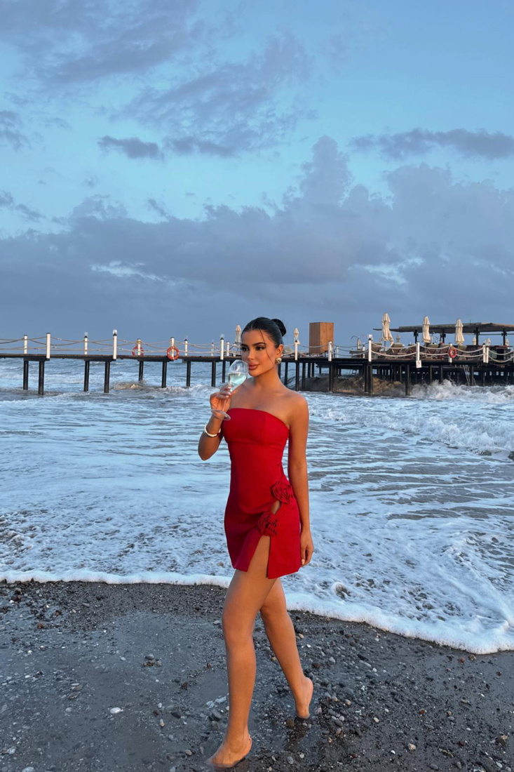 Kırmızı Gül Detay Mini Elbise ATE-1354 - EYYO