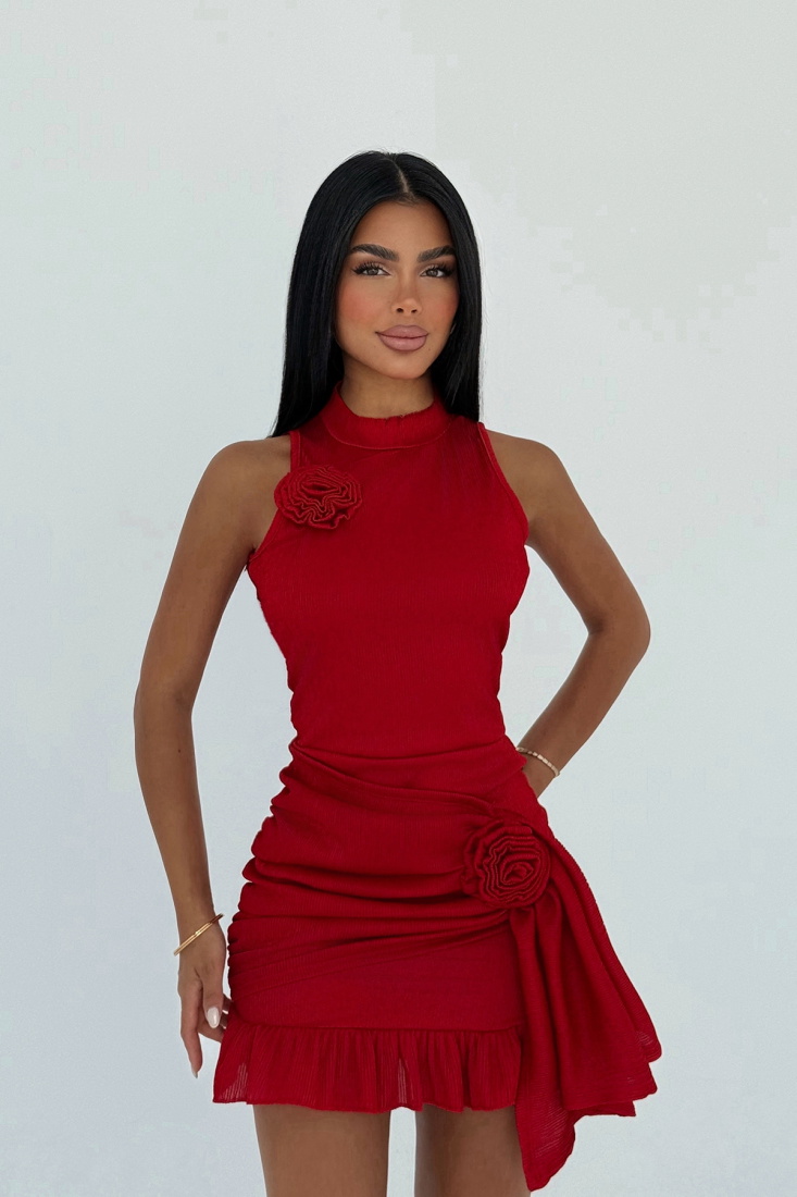 Kırmızı Cantarios Mini Gül Detaylı Elbise ATE-3139 - EYYO