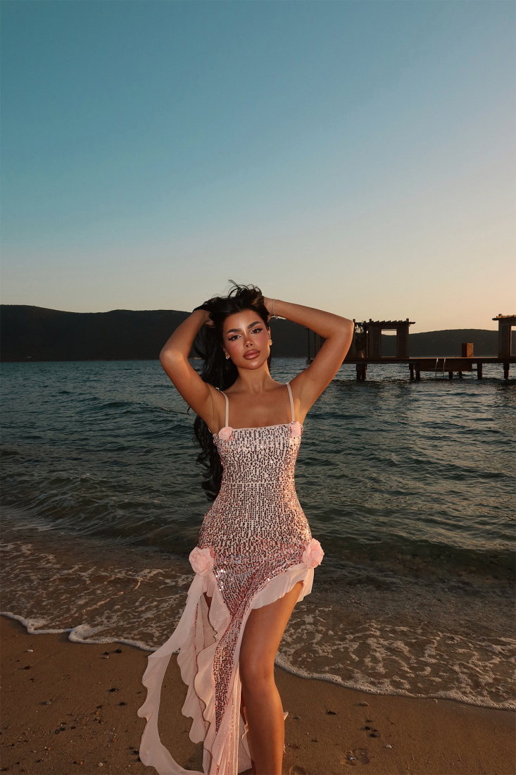 Pudra Paxton Payetli Uzun Yırtmaçlı Elbise ATE-2614 - EYYO