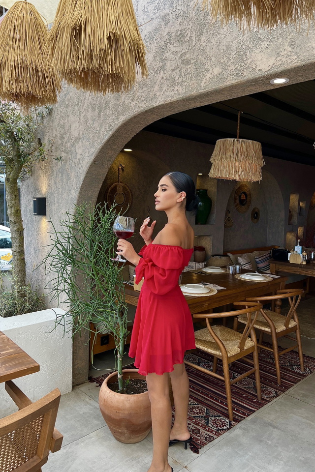 Red Front Laced Mini Dress ATE1904 - 3