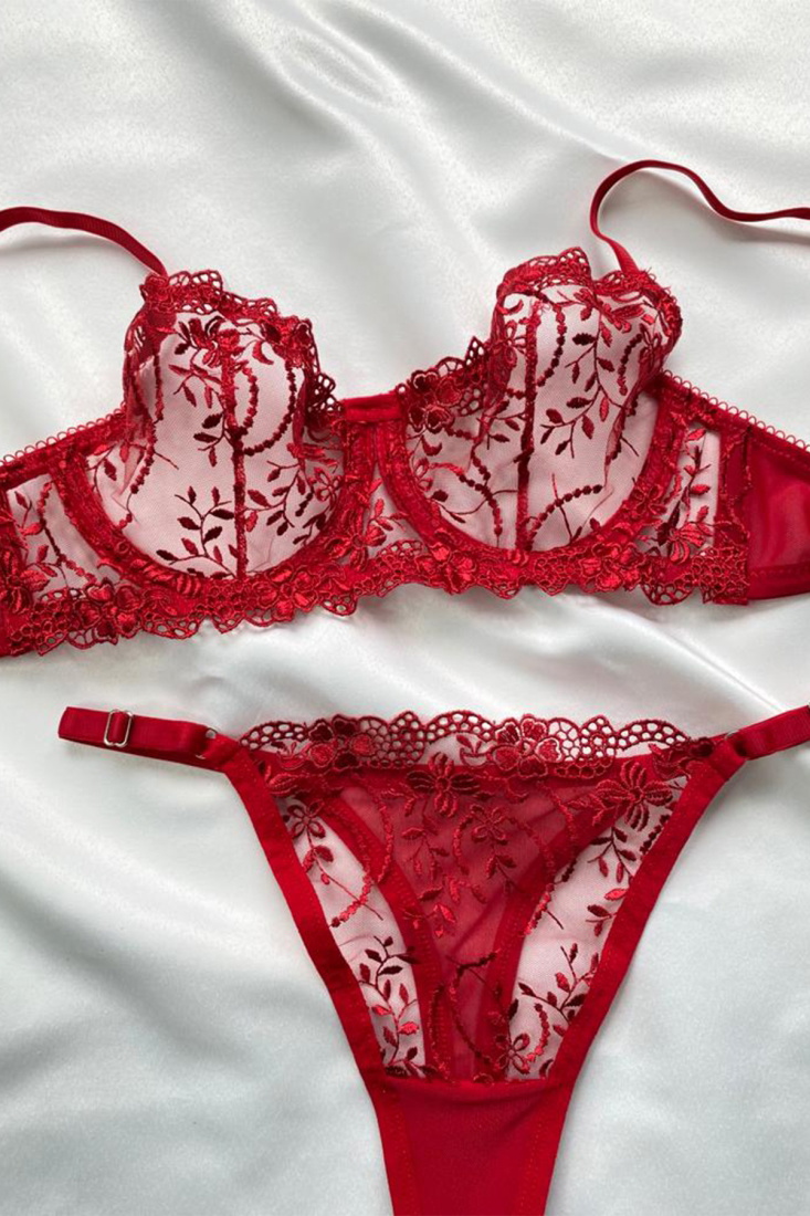 Red Lace Detail Underwear AATEL9 - EYYO