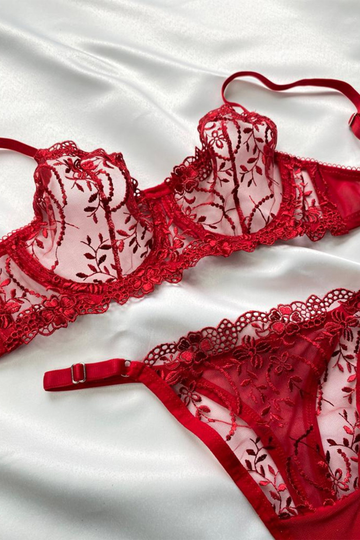 Red Lace Detail Underwear ATEL9 - EYYO