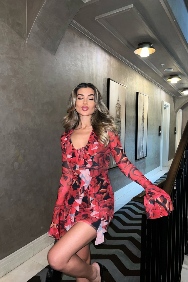 Red Rose Pattern Mini Dress ATE6228 - 2
