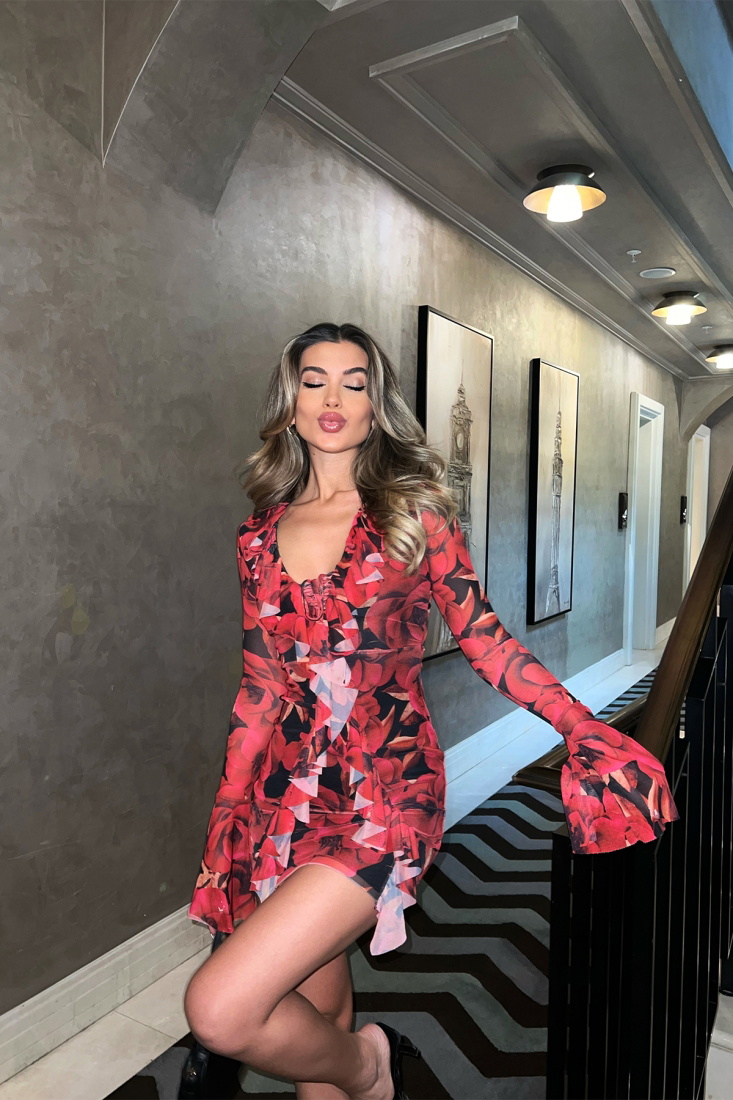 Red Rose Pattern Mini Dress ATE6228 - EYYO