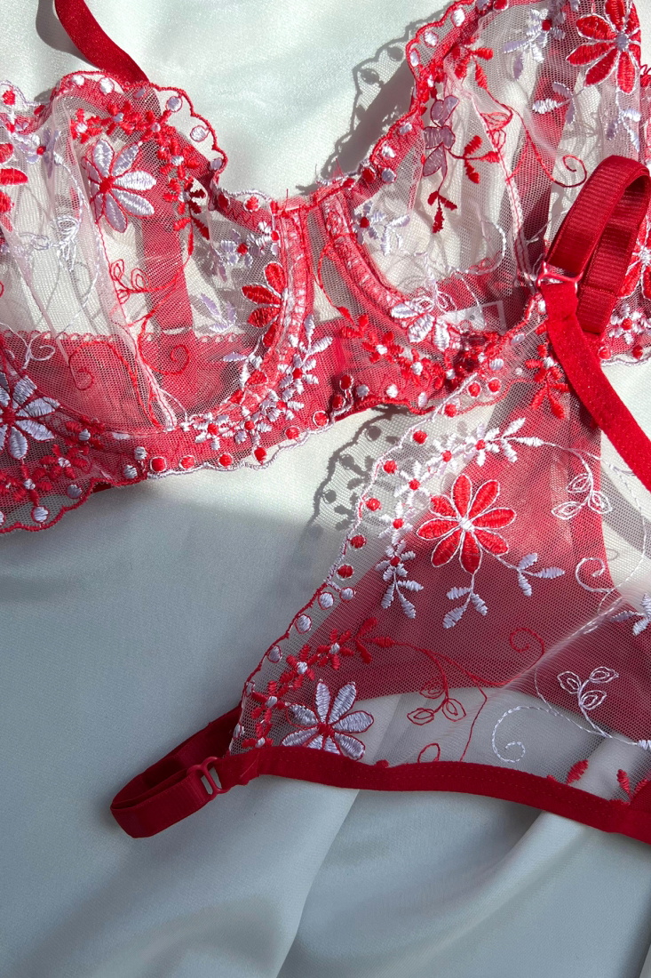 Red Transparent Underwear ATE5179 - EYYO