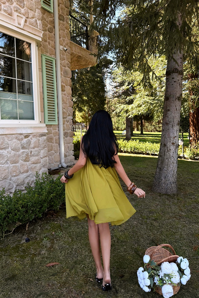 Sarı Isobel Elbise ATE-3505 - 4