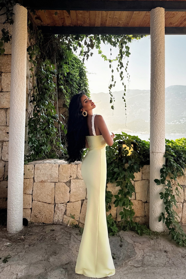 Sarı Cordelia Uzun Elbise ATE-3019 - 5