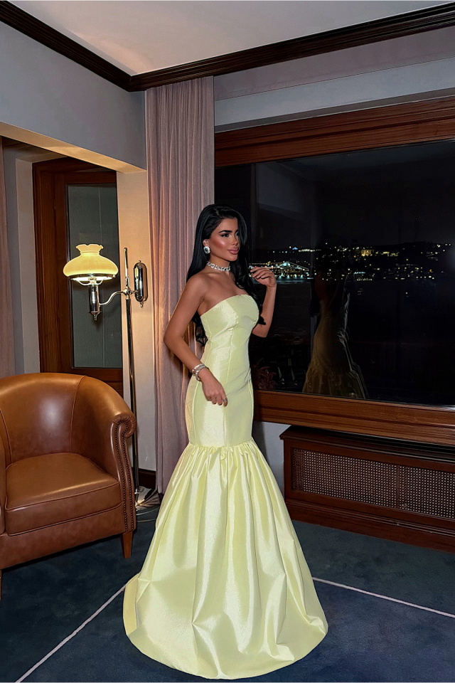 Sarı Borgena Abiye ATE-4422 - 3