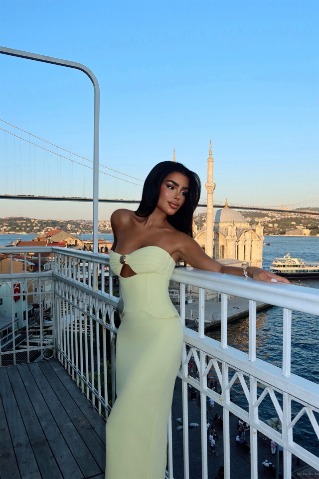 Sarı Soho Korse Detaylı Uzun Elbise ATE-3202 - 3