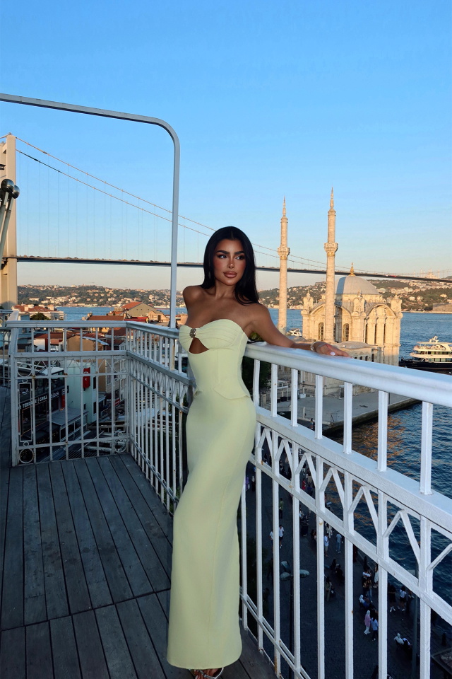 Sarı Soho Korse Detaylı Uzun Elbise ATE-3202 - 4
