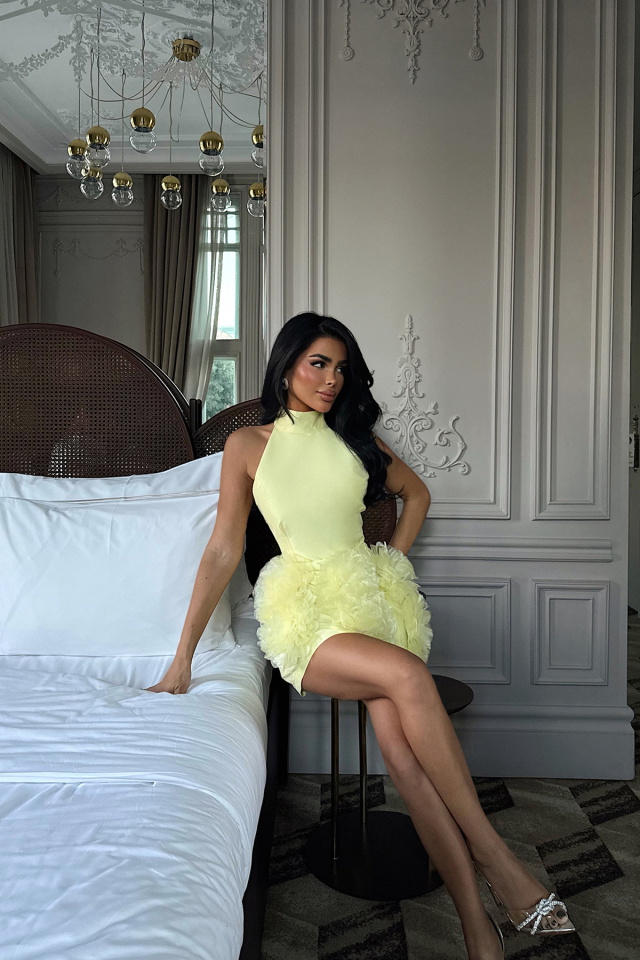Sarı Freyya Etek Ucu Gül Detaylı Mini Elbise ATE-3627 - 4