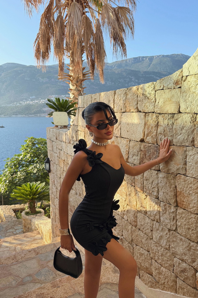 Siyah Dariah Mini Çiçekli Abiye ATE-3257 - 4