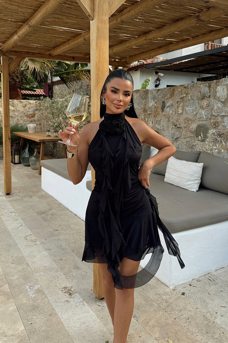 Siyah Polina Mini Elbise ATE-1001 - EYYO