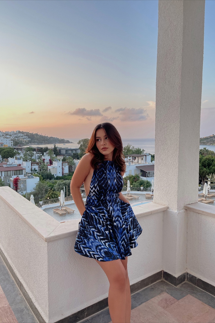 Spring Zebra Pattern Dress ATE1590 - EYYO ATELIER