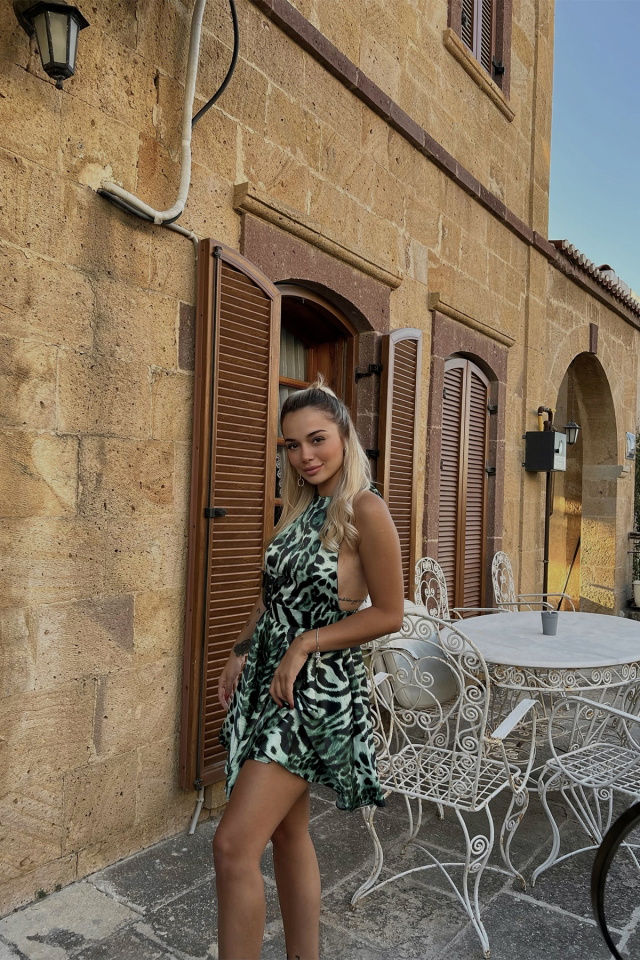 Spring Zebra Pattern Dress ATE1606 - 3